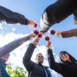 Festival de la Vendimia 2026 en Chile: Una Celebración del Vino