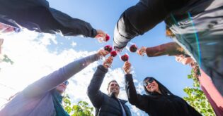 Festival de la Vendimia 2026 en Chile: Una Celebración del Vino